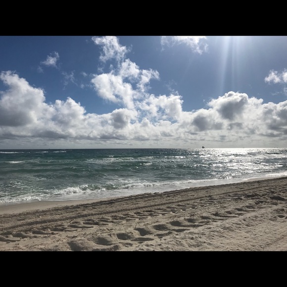 Meet your Posher, Pauli - Picture 1 of 1